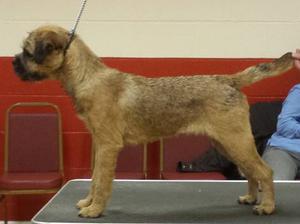 Betty at 5 months