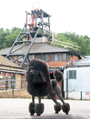 Billy at the National Coal Mining Museum