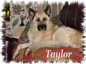 Taylor - mum to be :)