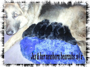 Jez & her newborn babies