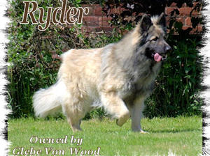 Ryder - Father to be
