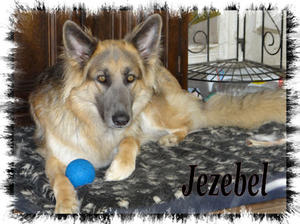 Jezebel