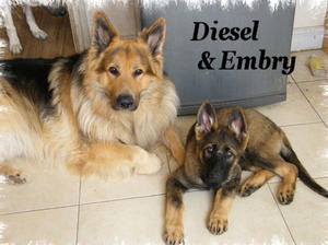 Diesel & a young Embry