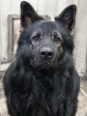 Handsome boy x