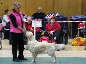 Remee winnig at a show