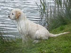Xenas 1st swimming lesson