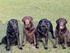 Rumhill girls after a swim
