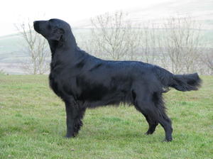 Sally in the highlands