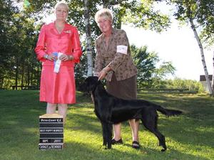 Reserve Best Dog in Canada, just 11 months