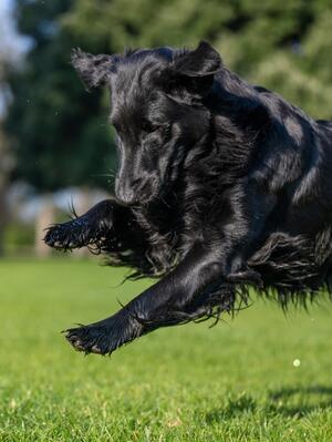 Hetti having fun