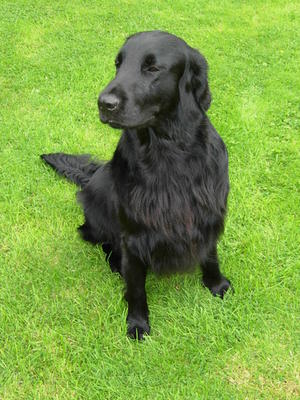 Storm happy at home