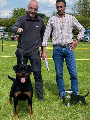 Seigerin Midland Rottweiler Club 2024