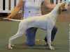 pointer results