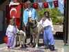 turkish-kangal-dog results