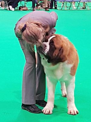 A puppy's trust is priceless