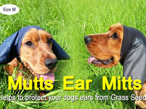 Mutts Ear Mitts