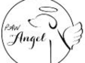 Pawangel