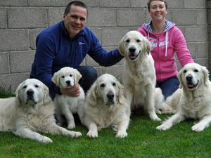 The Sunnyoak Family