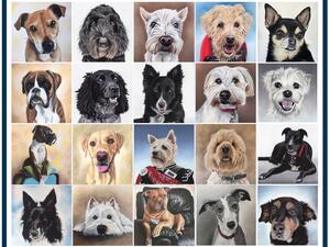 Examples - use Gallery button to see closer