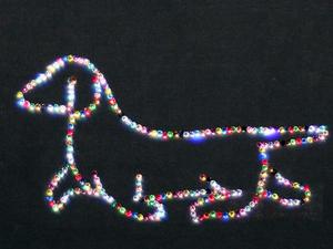 Dachshund in Rhinestones