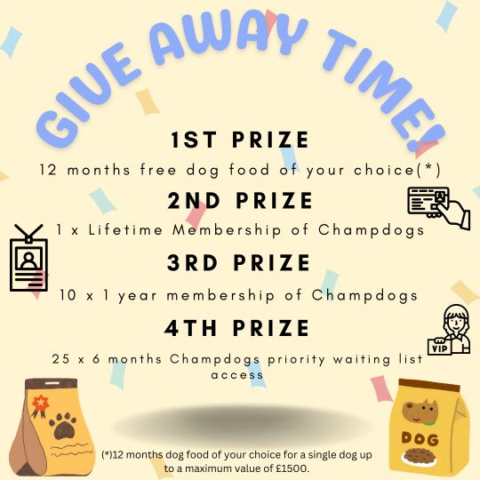 giveaway prizes