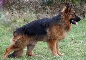 John, our stunning young male