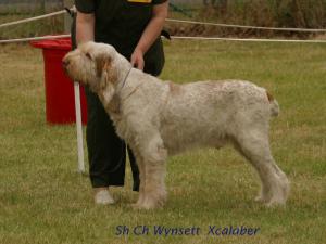Lui winning CC & BOB at Three Counties 2005