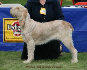 Ruby winning PGB class at Welks 2007