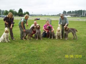 Amy and 5 of her pups at ISCGB Champ show June '10