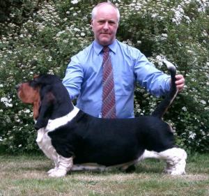 Ch Switherland Royal Raider