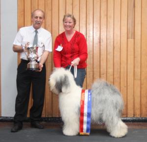 Champion Shaggylands Wicked Witch