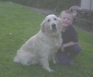 Jade (Dogmersfield Jade Beauty)