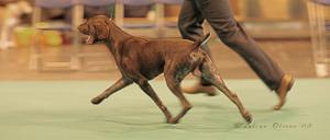 Hughie on the move