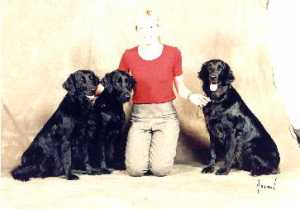 Our Flatcoats