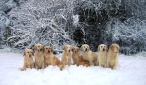 Winter time