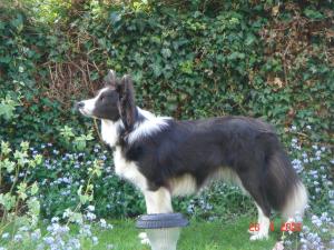 Mist at 13 months
