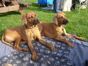 Tao (left) with Kobie (right)