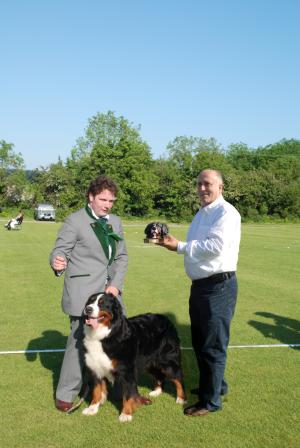 Freesia with Timothy won BIS Euro show 2009