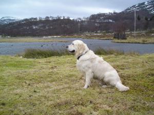 Sam enjoying his holidays in Scotland