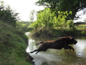 The old girl flying!