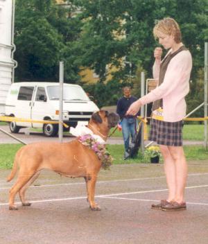 Ch Bullberry Gwendolyn