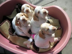 Just basking in the sun