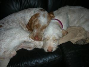 A loving couple