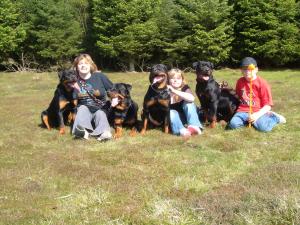 The Gang