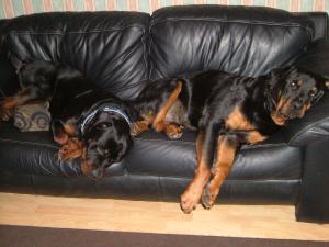 Like father like son