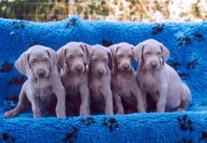 Squeeze-up.....!