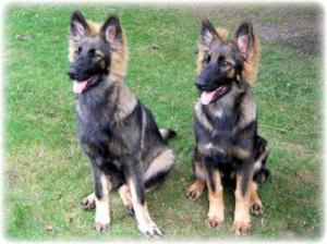 Pandora & Tabatha @ Five Months