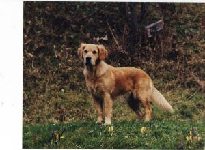 The start of things-Gemma, Amirene Royalty