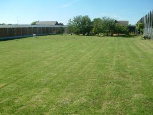 exercise area for the dogs