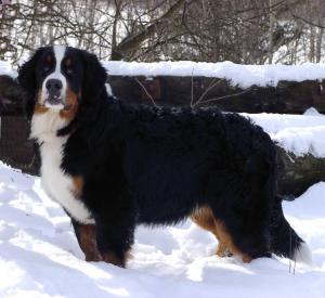 Geilo- 6.5 months.